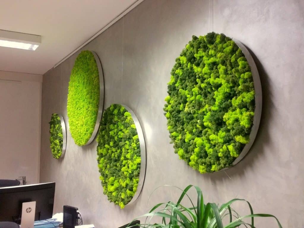 Preserved moss wall