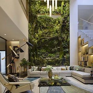 preserved moss living wall